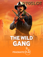 The Wild Gang game cover